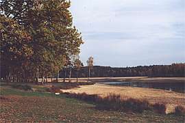 Pohled na rybník z Autokempu Tomášek