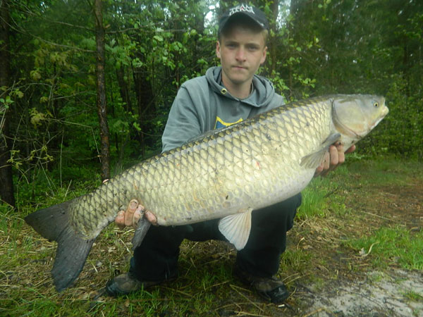 Ryba roku 2012 - soutěž - HLASOVÁNÍ ZASTAVENO | Ryba roku | Kronika ...